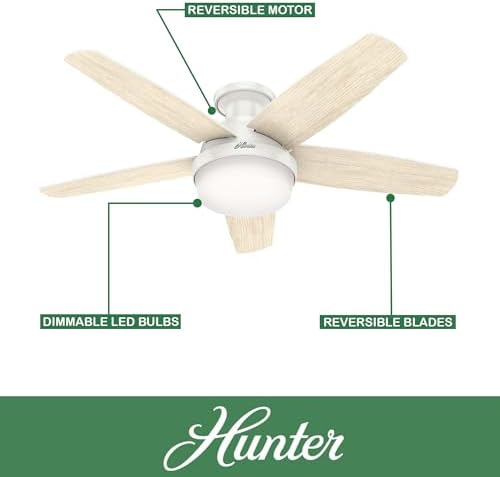 Hunter 48 Inch Low Profile Indoor Ceiling Fan with Light Kit & Remote Control